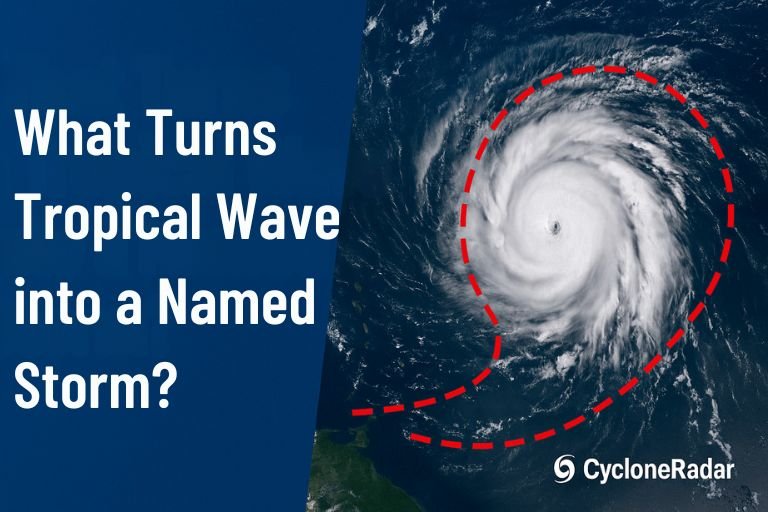 Tropical Wave